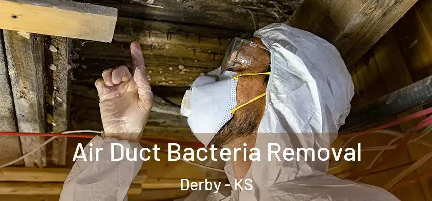  Air Duct Bacteria Removal Derby - KS