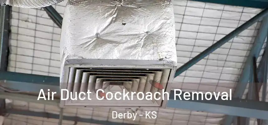  Air Duct Cockroach Removal Derby - KS