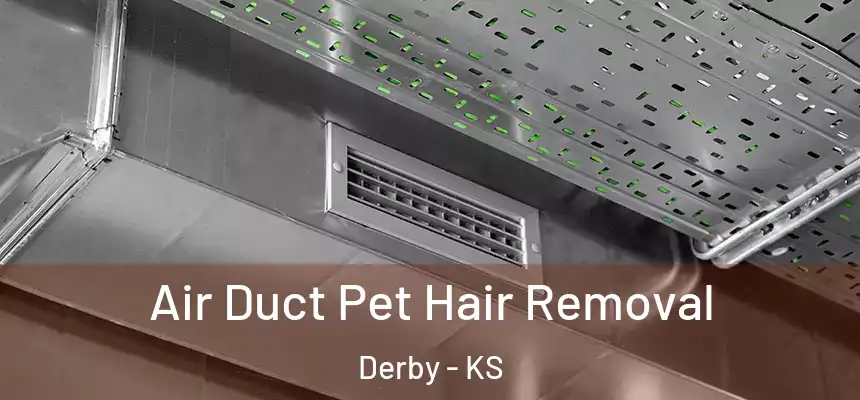 Air Duct Pet Hair Removal Derby - KS