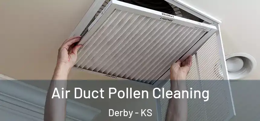  Air Duct Pollen Cleaning Derby - KS