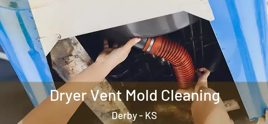 Dryer Vent Mold Cleaning Derby - KS