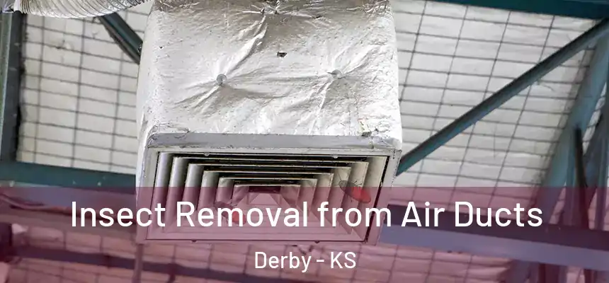  Insect Removal from Air Ducts Derby - KS