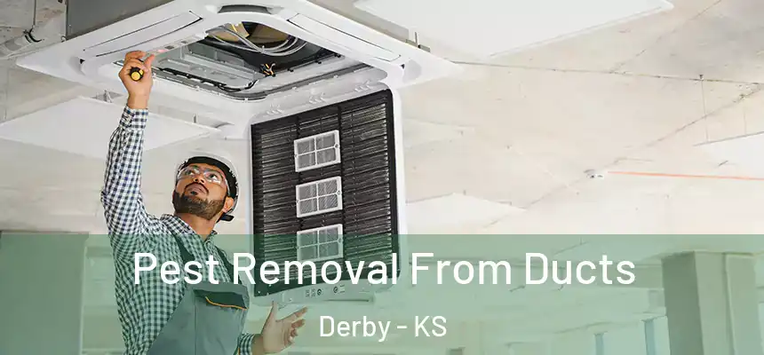  Pest Removal From Ducts Derby - KS
