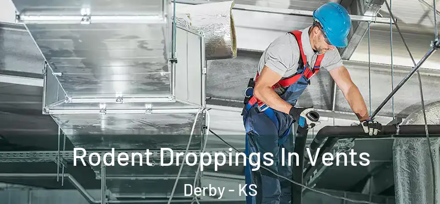 Rodent Droppings In Vents Derby - KS
