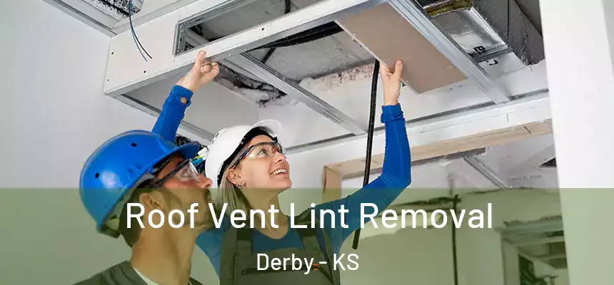 Roof Vent Lint Removal Derby - KS