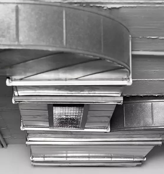 Professional Air Duct Pest Removal in Derby, KS