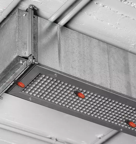 Affordable Insect Removal from Air Ducts in Derby, KS